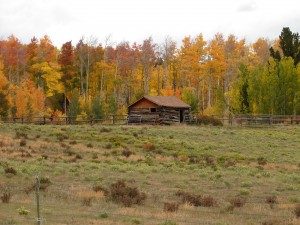 Warm Springs Ranch